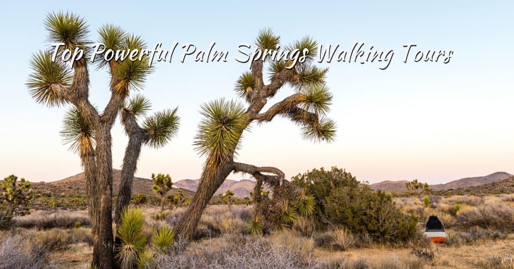 Palm Springs Walking Tours