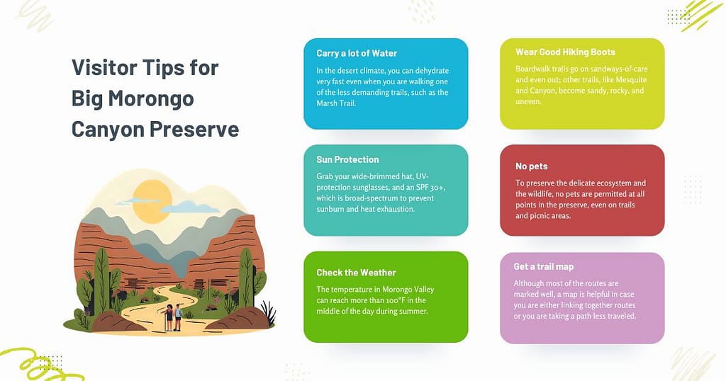 isitor Tips for Big Morongo Canyon Preserve