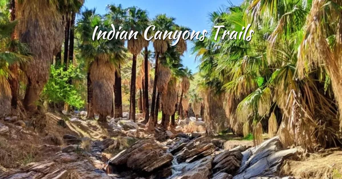 Indian Canyons Trails