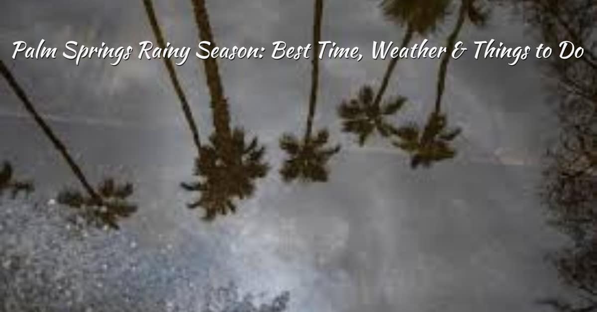 Palm Springs Rainy Season: Best Time, Weather & Things to Do 2025