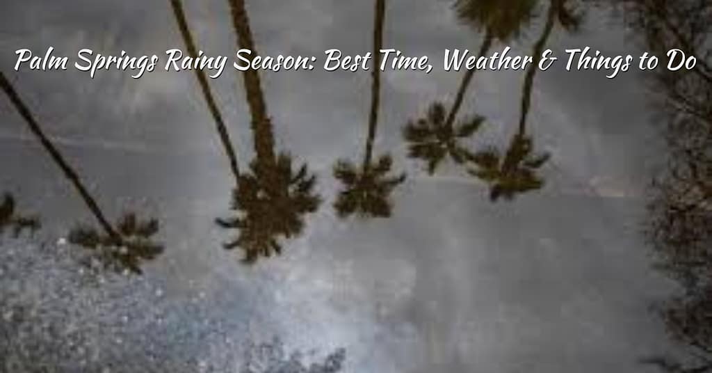 Palm Springs Rainy Season