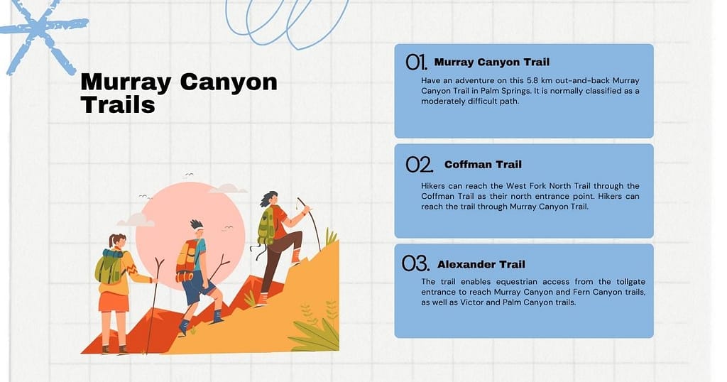 Murray Canyon Trails Palm Springs