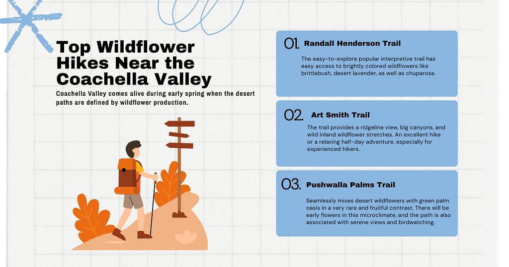 Top Wildflower Hikes Near the Coachella Valley