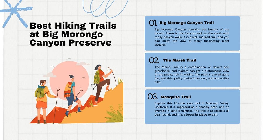 Best Hiking Trails at Big Morongo Canyon Preserve