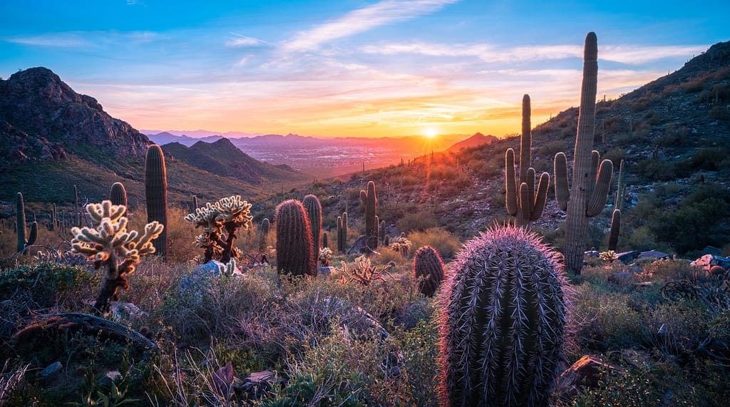 Scottsdale: A Short Detour for Architecture Fans