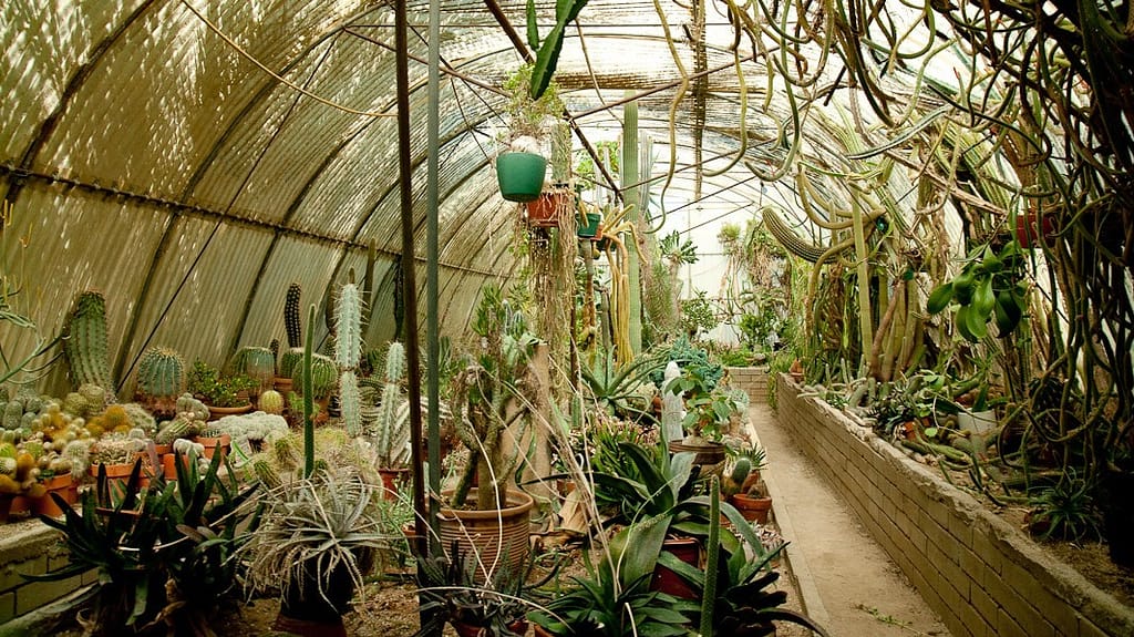 Moorten Botanical Garden in Palm Springs