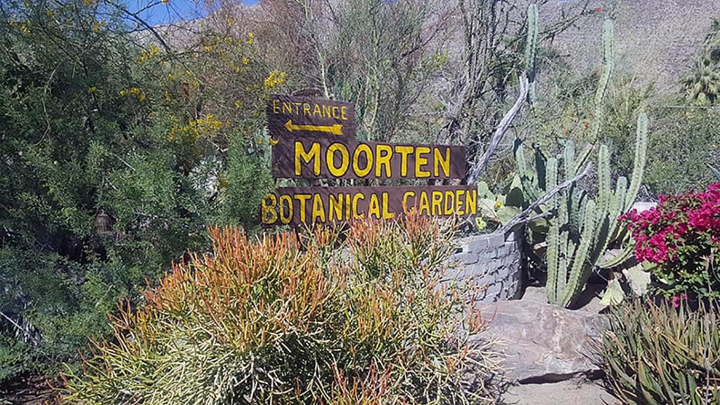 Moorten Botanical Garden: Best Unique Detour in Palm Springs