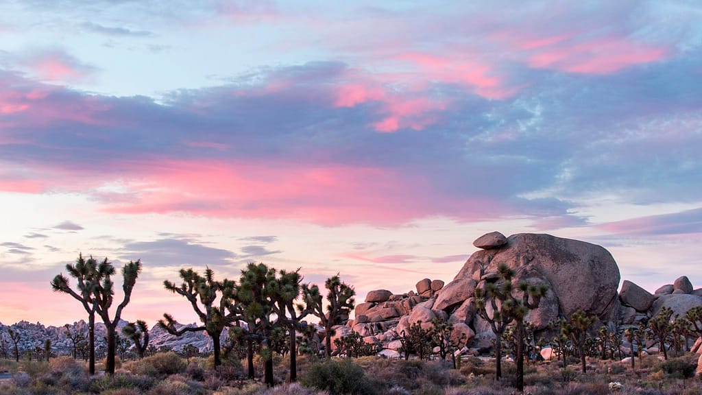 Cap Rock Trail