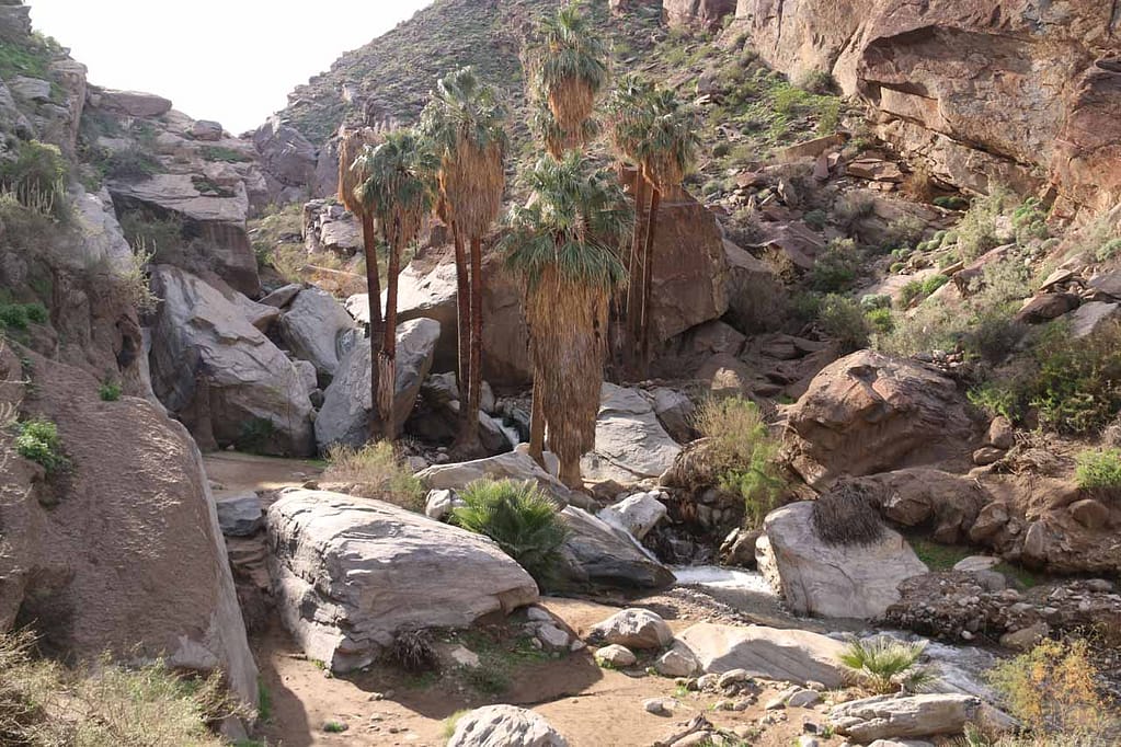 West Fork Falls - Easiest Waterfall Hike in Palm Springs
