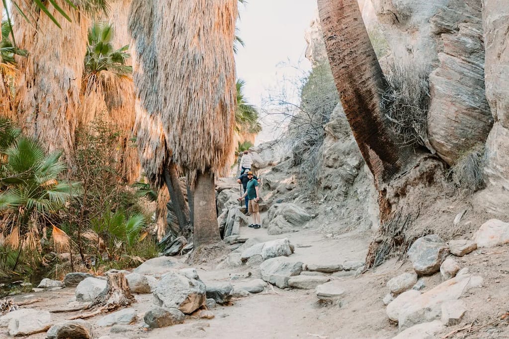 Andreas Canyon Loop and Hidden Falls