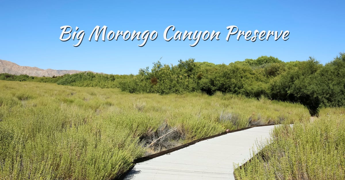 Big Morongo Canyon Preserve