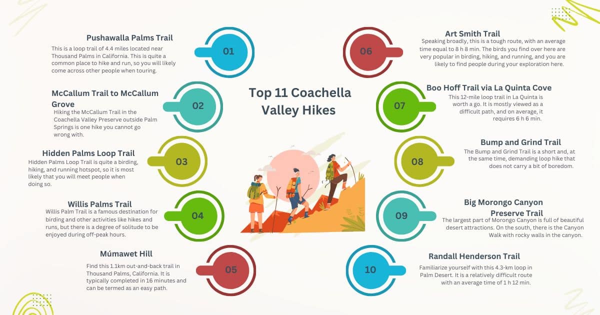 Top 11 Coachella Valley Hikes 2026 | Preserve Trails, Tips & Maps