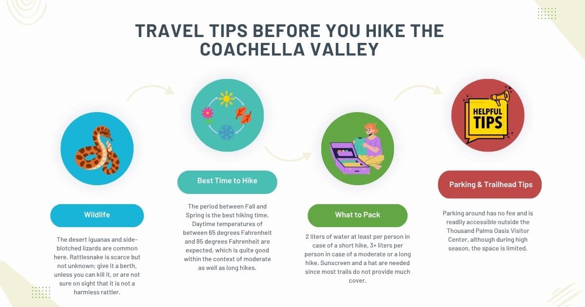 Top 11 Coachella Valley Hikes 2026 | Preserve Trails, Tips & Maps