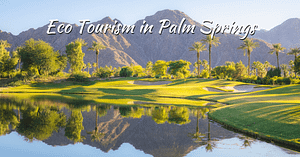 Eco Tourism in Palm Springs