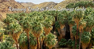 Running Trails in Palm Springs