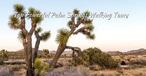 Palm Springs Walking Tours