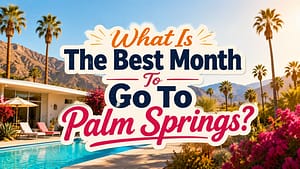 Best Month to Visit Palm Springs