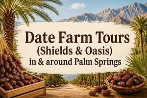 Date Farm Tours Palm Springs