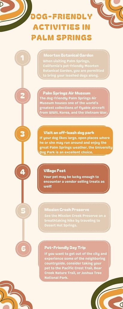 Dog-Friendly Activities