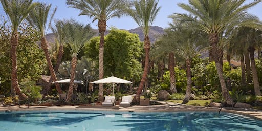 Sensei Porcupine Creek