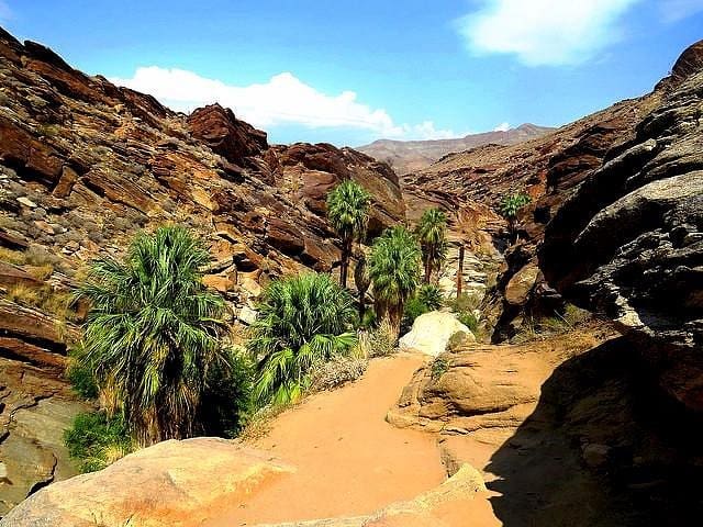 Murray Canyon Trails