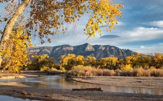 Cottonwood and the Verde Valley: The Final Stretch Before Sedona