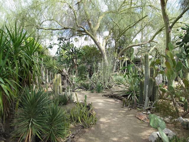 Moorten Botanical Garden