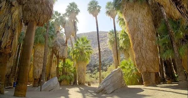 Indian Canyons