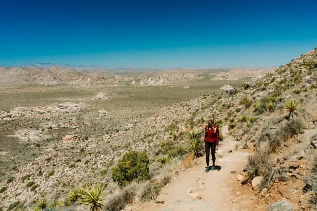 Ryan Mountain Trail