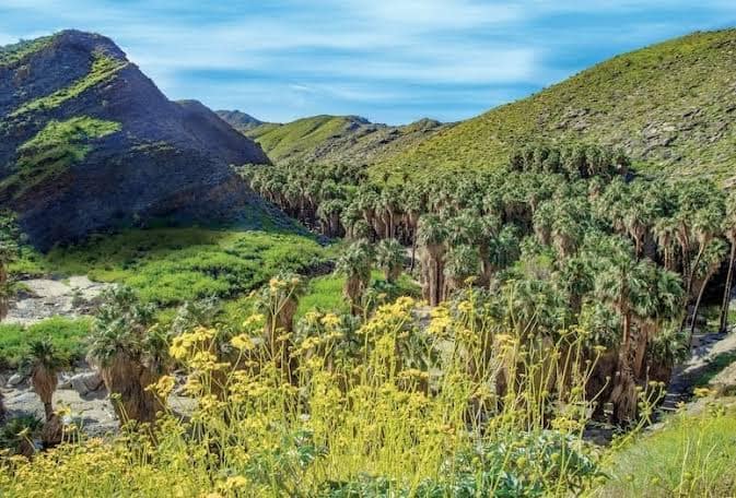 Indian Canyons
