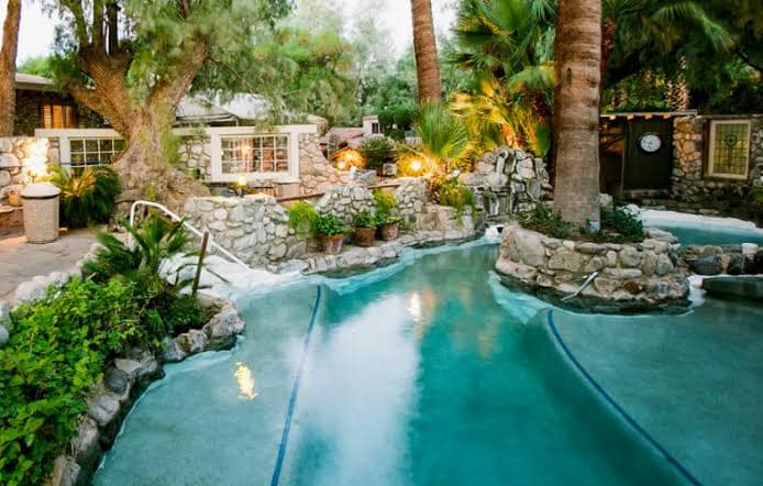 Two Bunch Palms