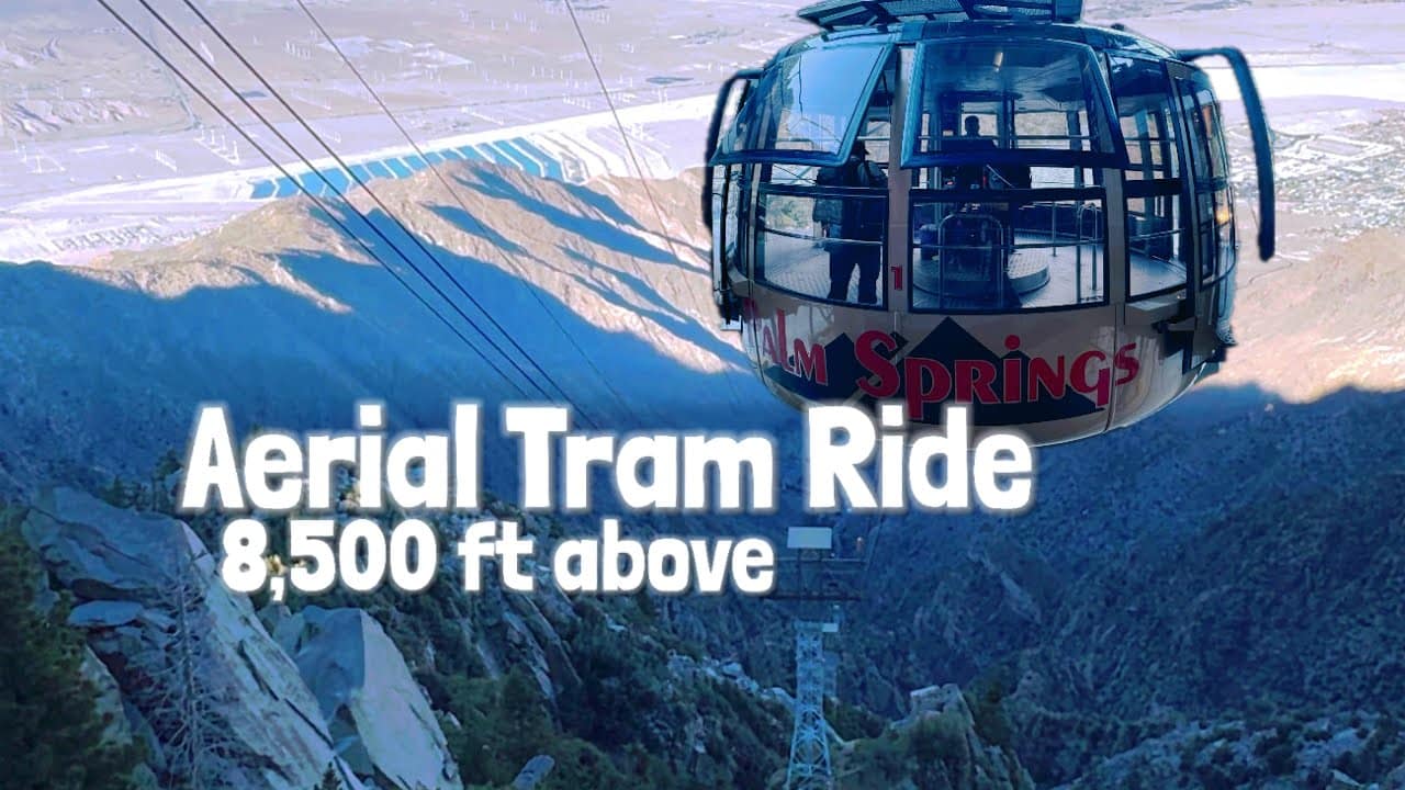 youtube placeholder image