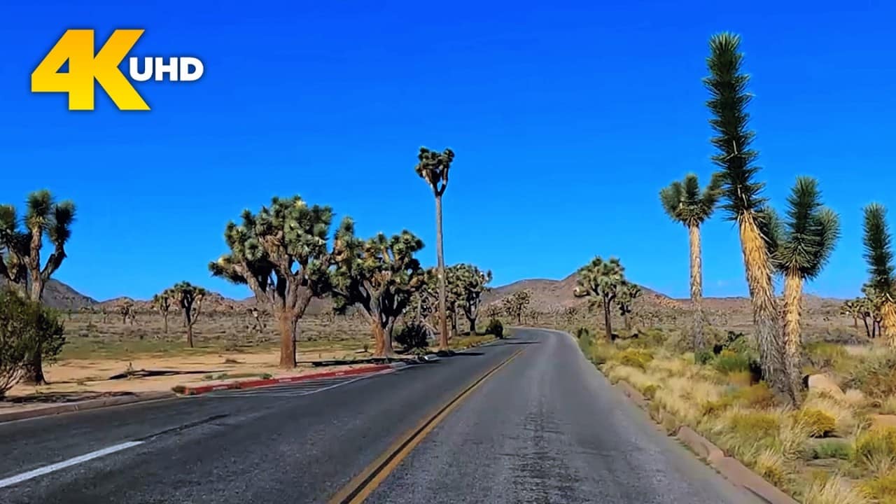 youtube placeholder image