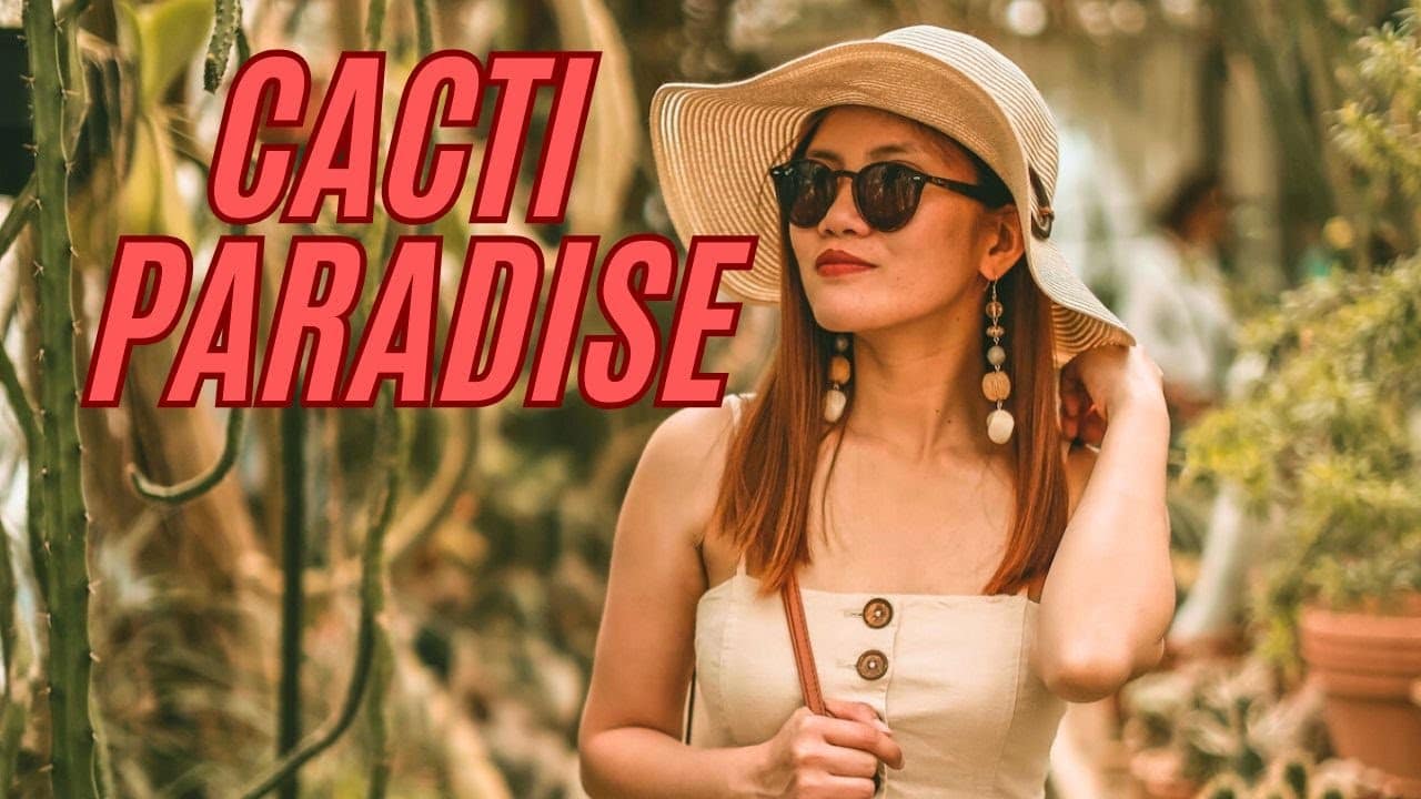 youtube placeholder image