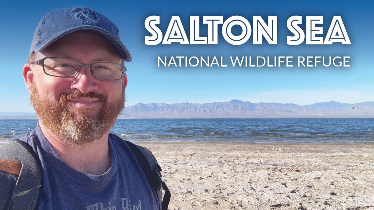 youtube placeholder image