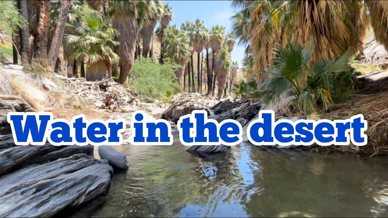 youtube placeholder image