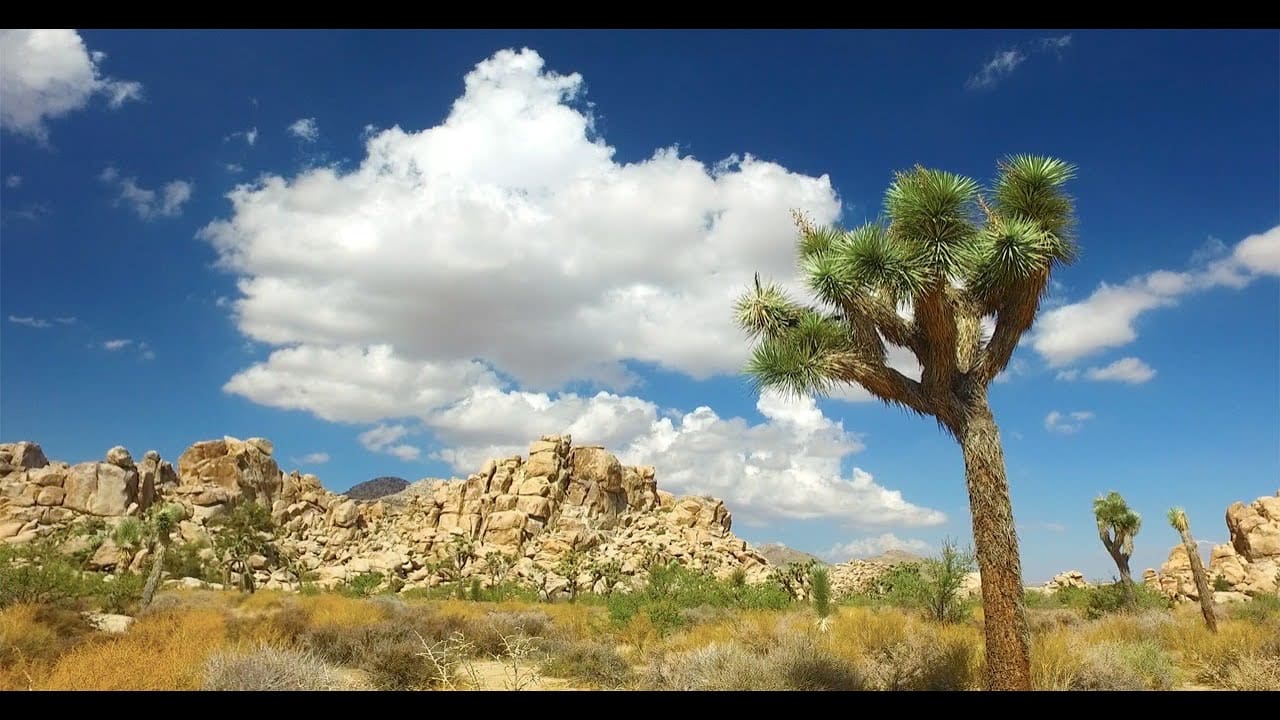 youtube placeholder image