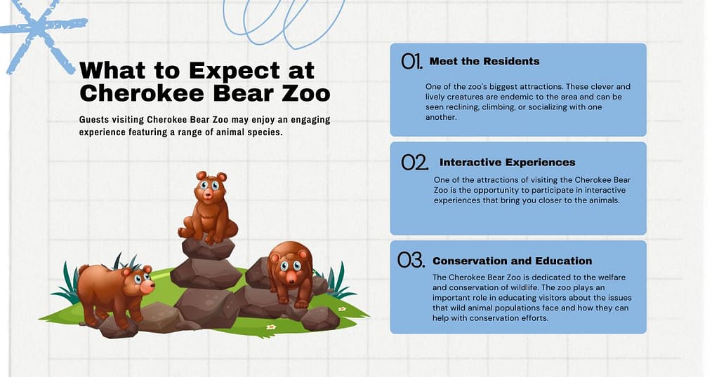 What to Expect at Cherokee Bear Zoo NC