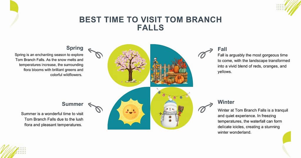 Best Time to Visit Tom Branch Falls