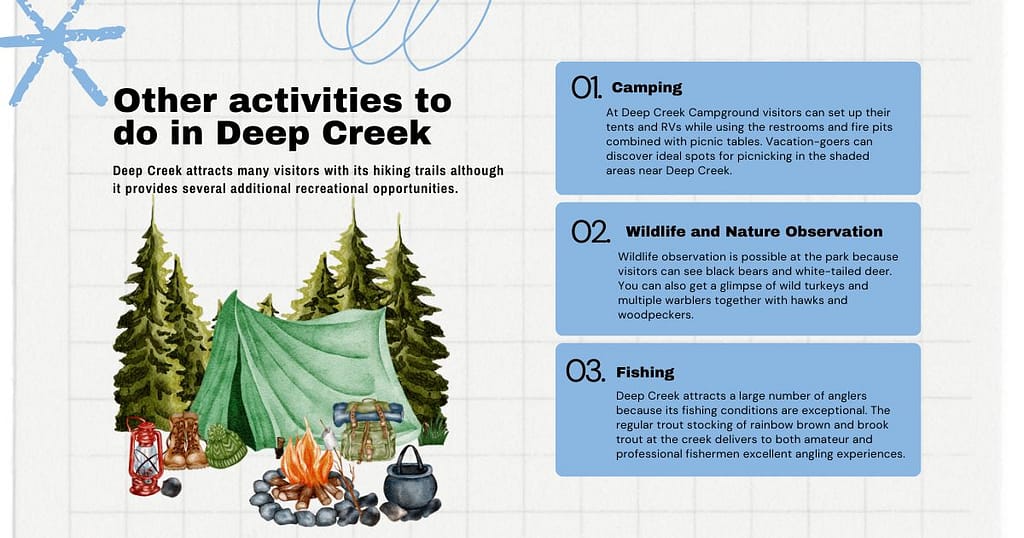 Other Activities to Do on the Deep Creek Loop Trail Great Smoky Mountains