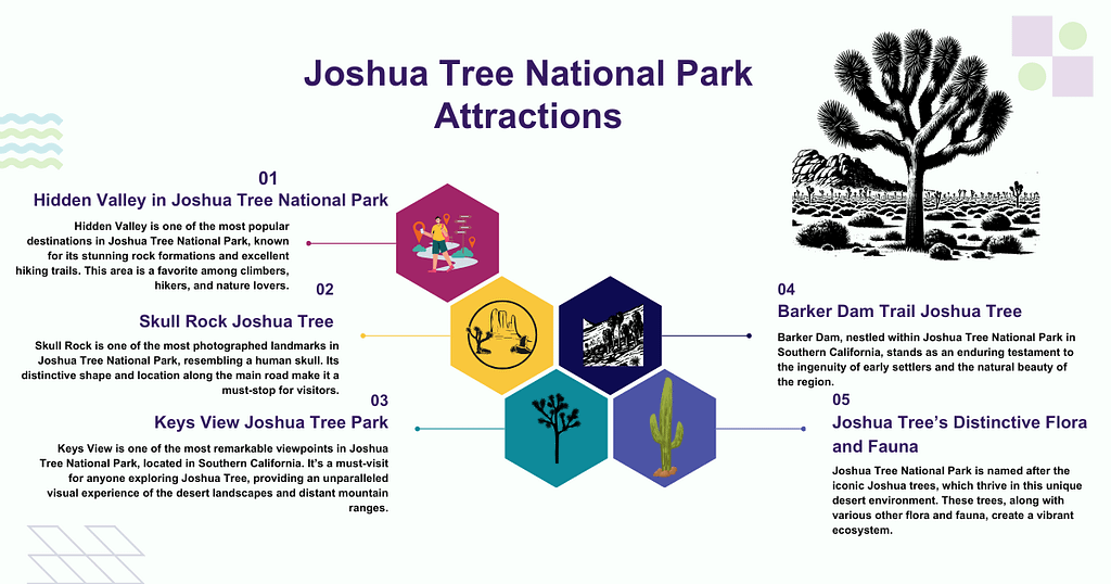 Joshua Tree National Park Attractions