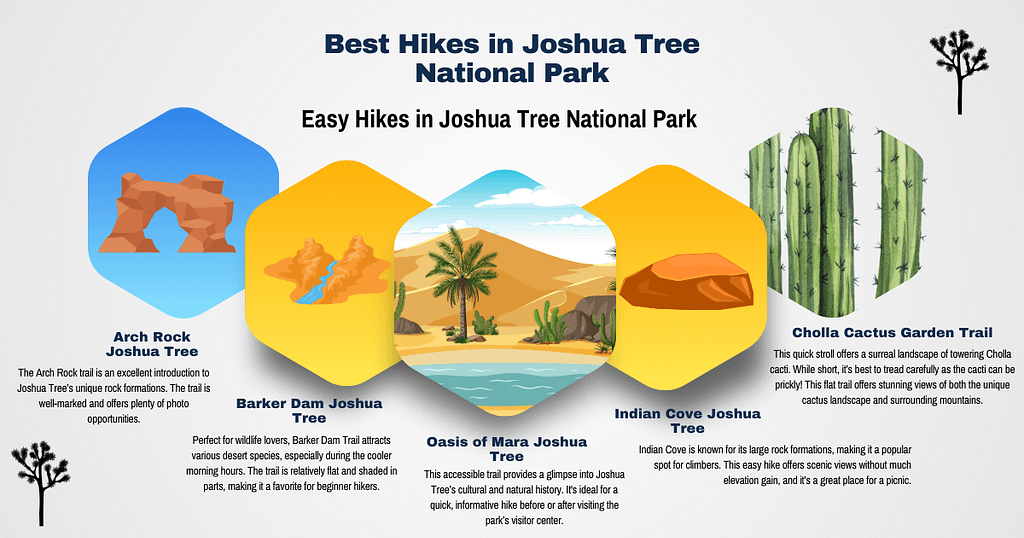 Best Hikes in Joshua Tree National Park