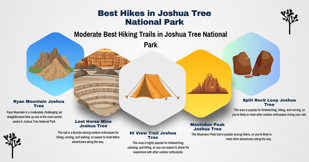 Moderate Best Hiking Trails in Joshua Tree National Park