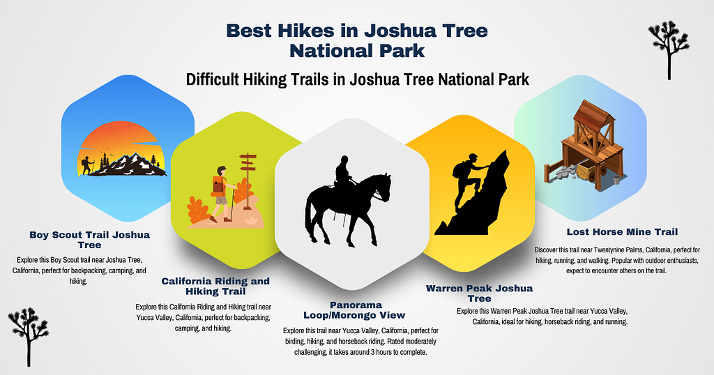 Difficult Hiking Trails in Joshua Tree National Park