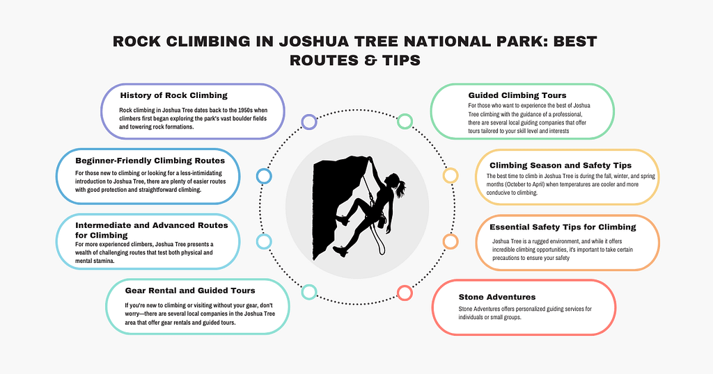 Rock Climbing in Joshua Tree National Park