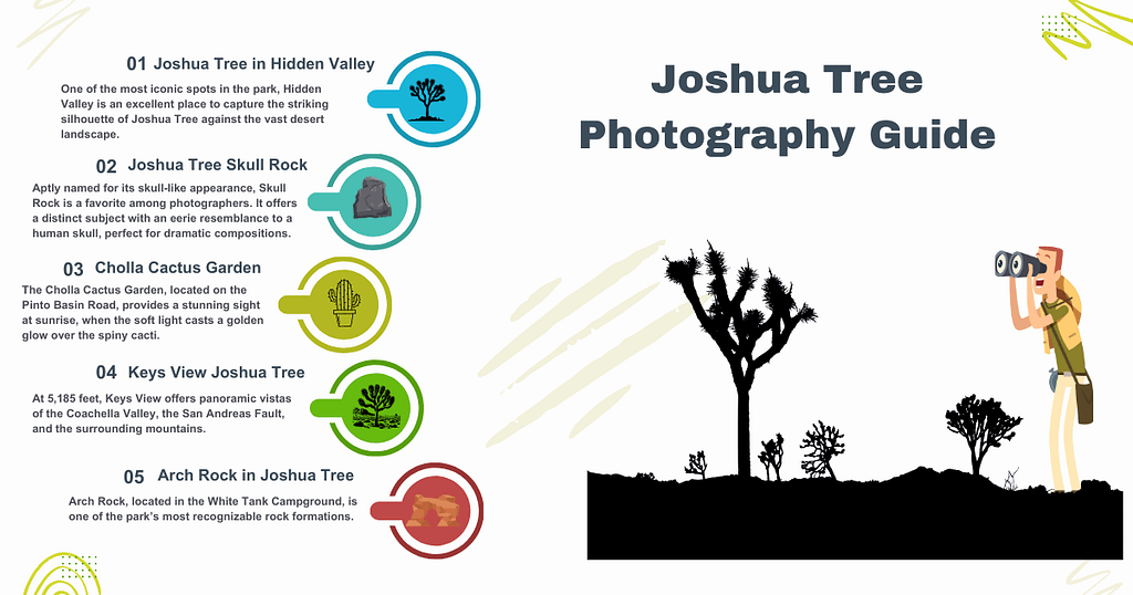 Joshua Tree Photography Guide