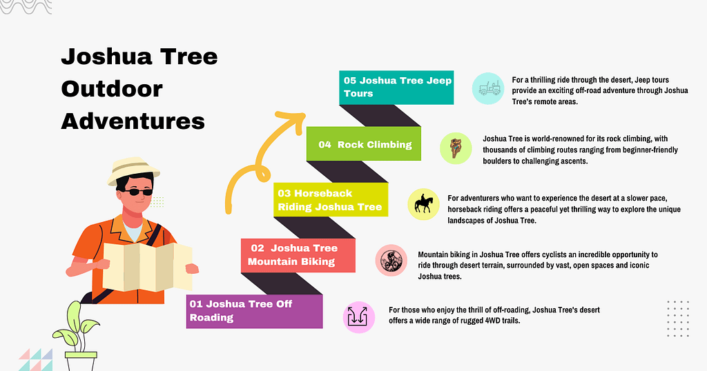 Joshua Tree Outdoor Adventures