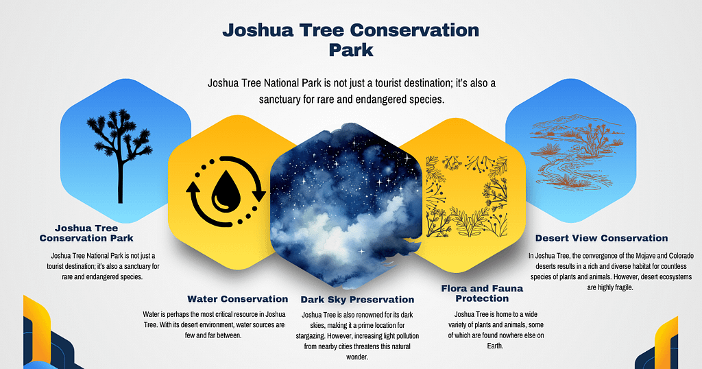 Joshua Tree Conservation Park