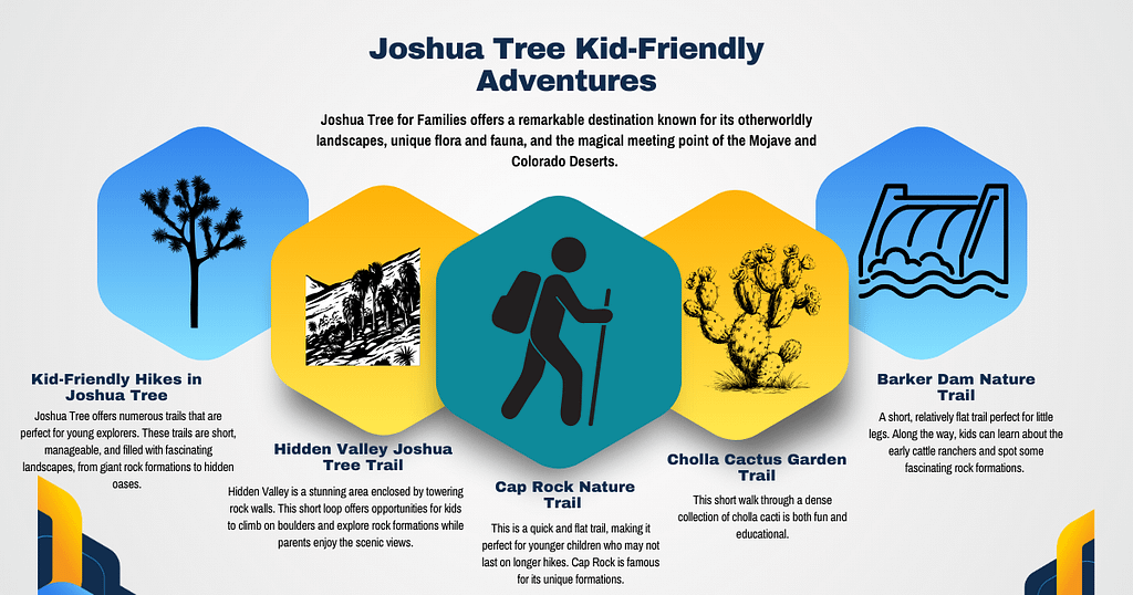 Joshua Tree Kid-Friendly Adventures