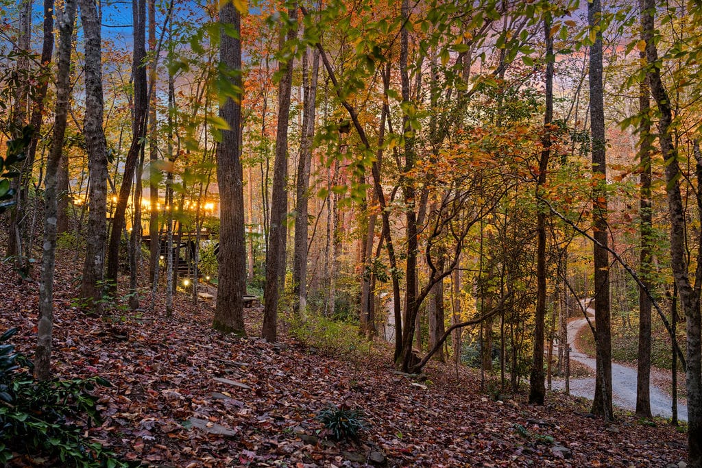 Tent - Fox Fire - Elk Hollow Fall